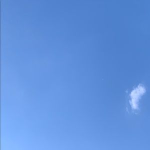 Meet your Posher, Callie